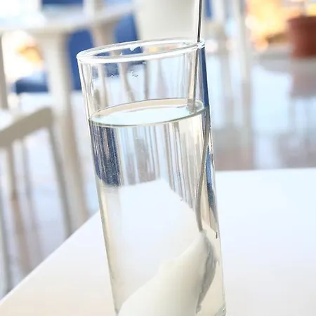 Evelyn 헐소니소스